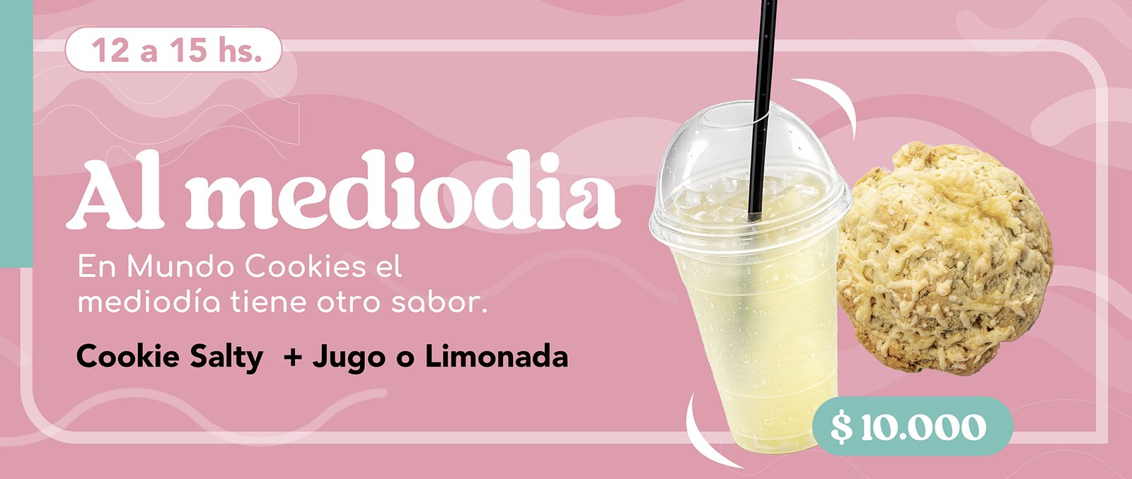 promo-baner web